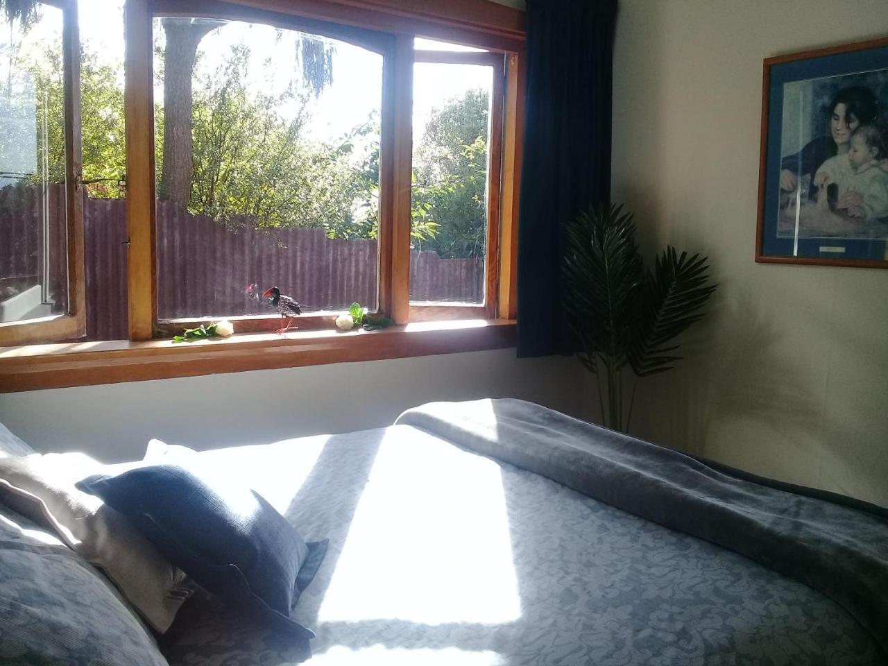 Blue Penguin Villa Timaru Ngoại thất bức ảnh
